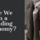 Are We in a Folding Economy?